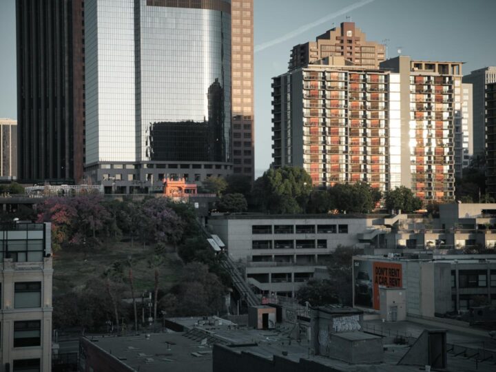 O Jardim da Cidade